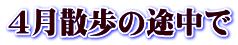 ４月散歩の途中で